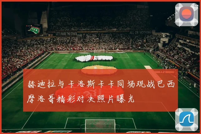 赫迪拉与卡洛斯卡卡同场观战巴西摩洛哥精彩对决照片曝光