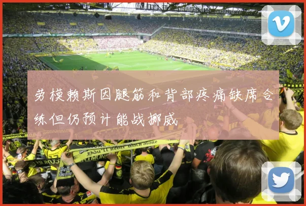 劳模赖斯因腿筋和背部疼痛缺席合练但仍预计能战挪威