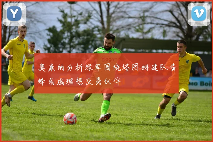 奥康纳分析绿军围绕塔图姆建队黄蜂或成理想交易伙伴